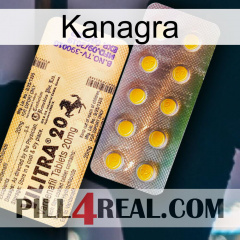 Kanagra new06